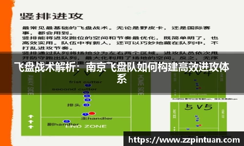 飞盘战术解析:南京飞盘队如何构建高效进攻体系